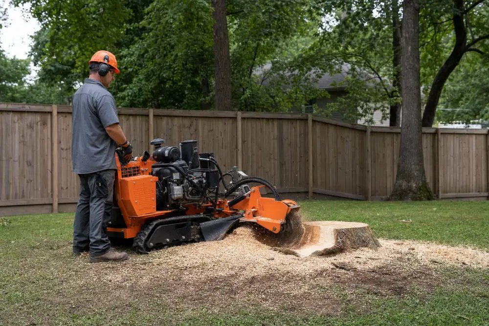 Stump grinder removing a tree stump in a residential backyard